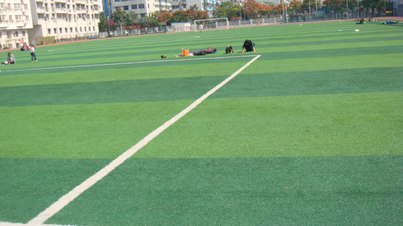 人造草坪标准足球场