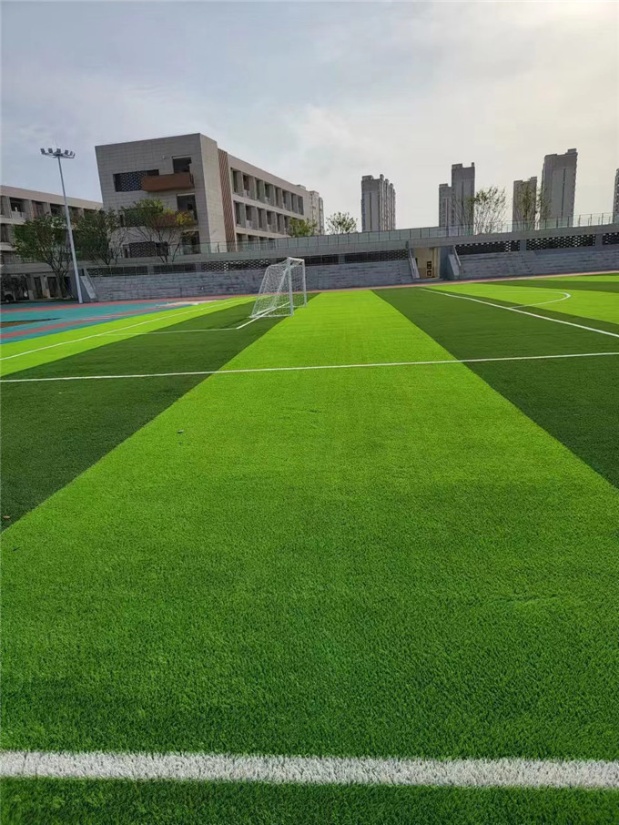 东花园小学人造草坪